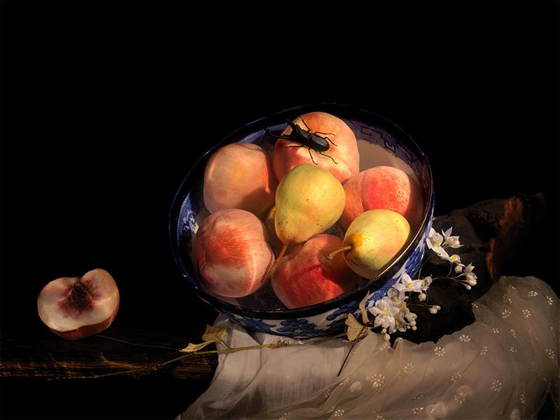 emperors truth a vanitas of peaches and fruit with beetle 