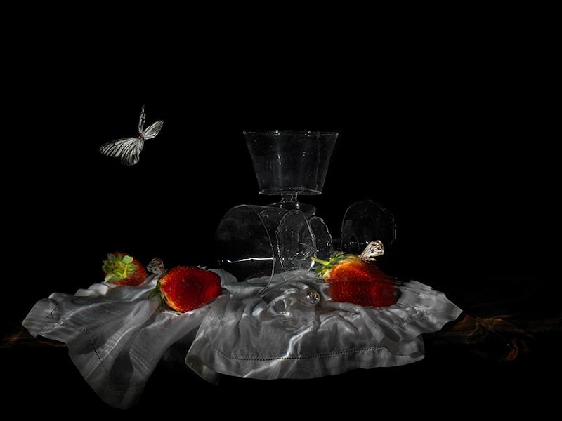 natures bounty floral vanitas with butterfly photographed underwater on analogue camera gear